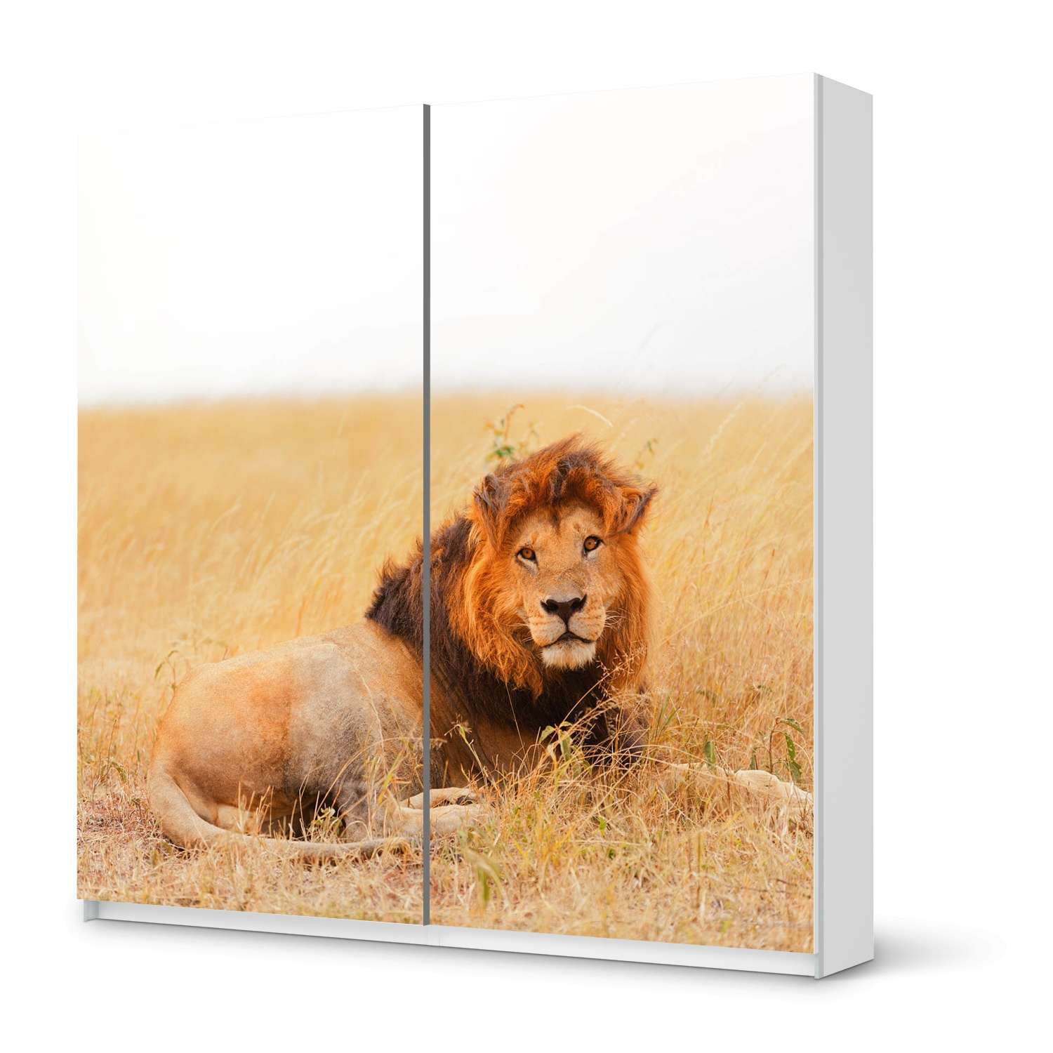 M?bel Klebefolie IKEA Pax Schrank 201 cm H?he - Schiebet?r - Design: Lion King M?bel Klebefolie IKEA Pax Schrank 201 cm H?he - Schiebet?r - Design: Lion King von creatisto