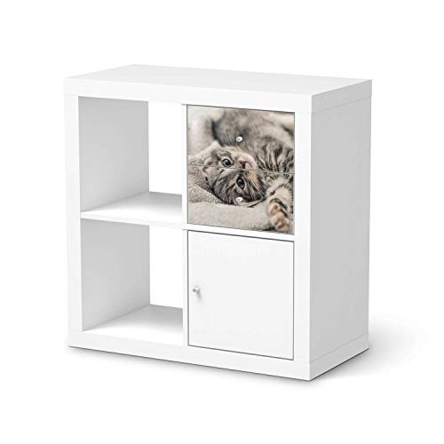 Möbel Klebefolie passend für IKEA Kallax Regal Schubladen I Möbelsticker - Möbel-Aufkleber Folie Tattoo I Wohndeko für Wohnzimmer und Schlafzimmer - Design: Kitty the Cat von creatisto