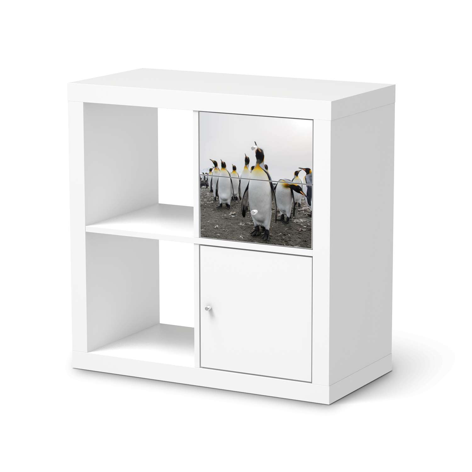 M?belfolie IKEA IKEA Expedit Regal Schubladen - Design: Penguin Family M?belfolie IKEA IKEA Expedit Regal Schubladen - Design: Penguin Family von creatisto
