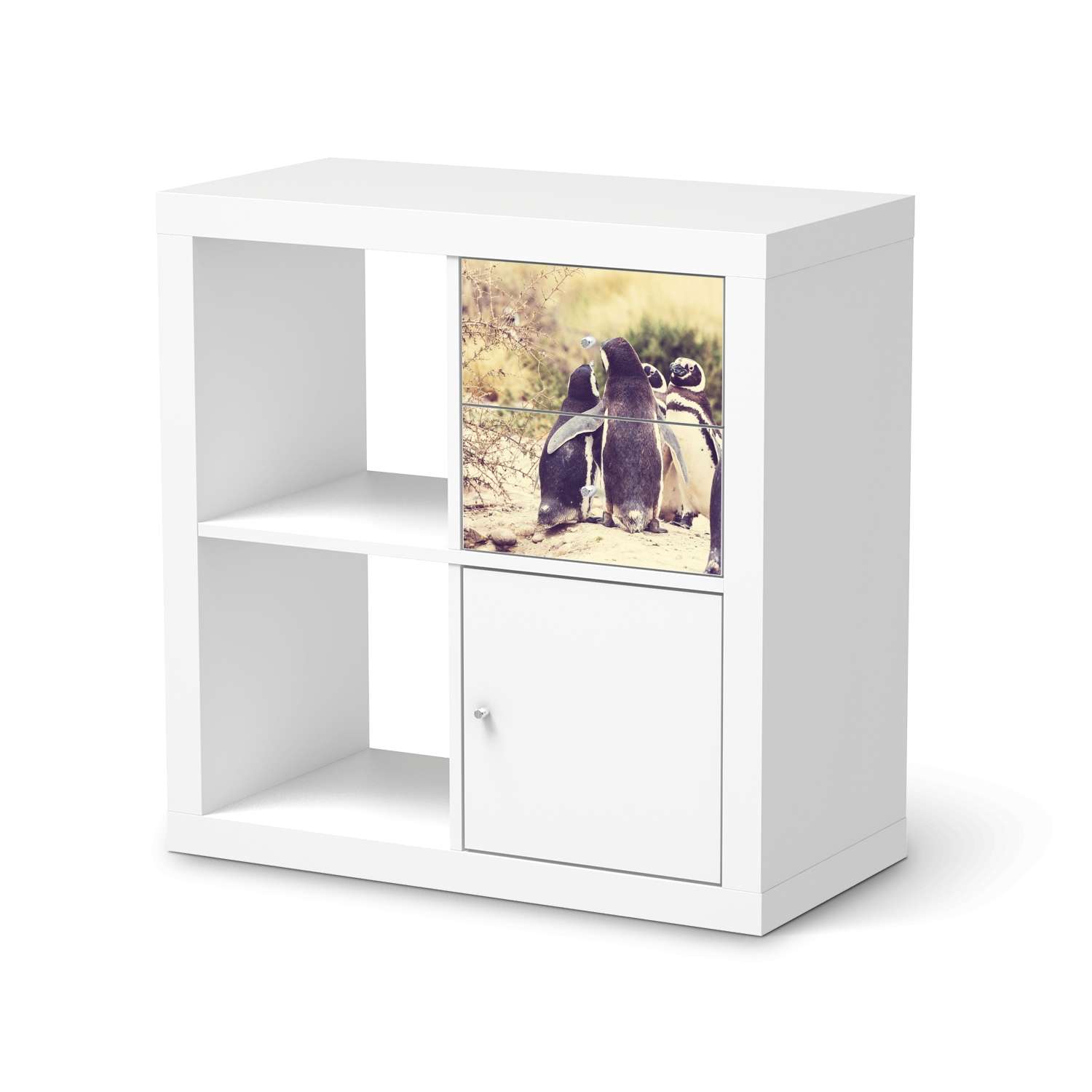 M?belfolie IKEA IKEA Expedit Regal Schubladen - Design: Pingu Friendship M?belfolie IKEA IKEA Expedit Regal Schubladen - Design: Pingu Friendship von creatisto