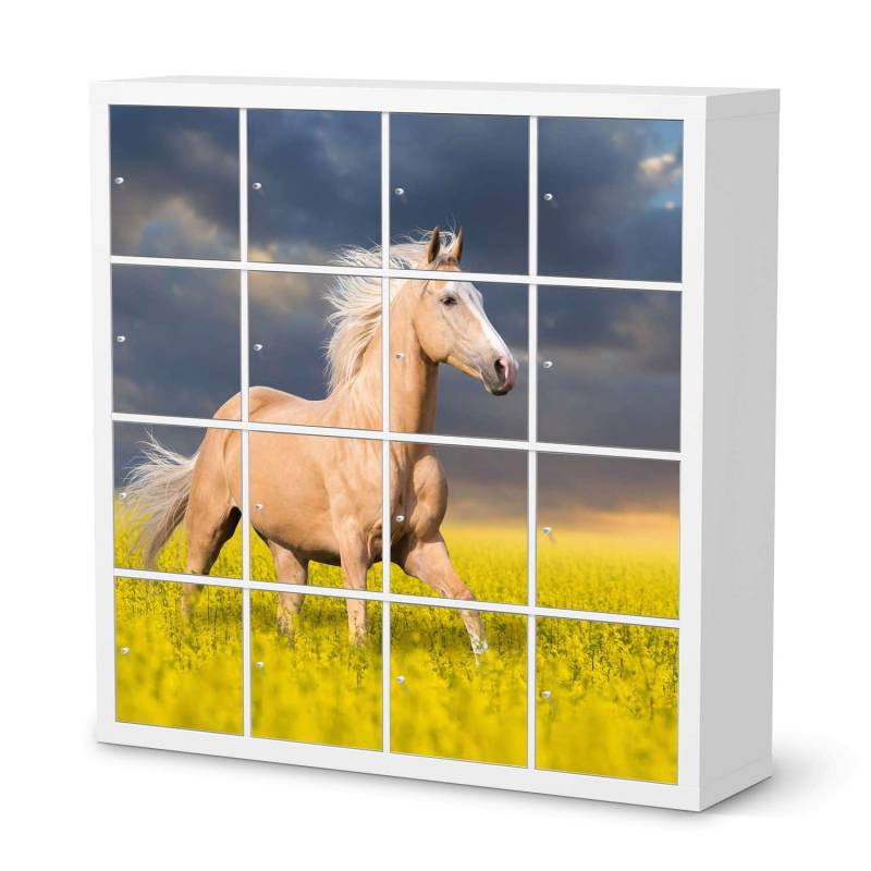 M?belfolie IKEA Kallax Regal 16 T?ren - Design: Wildpferd M?belfolie IKEA Kallax Regal 16 T?ren - Design: Wildpferd von creatisto