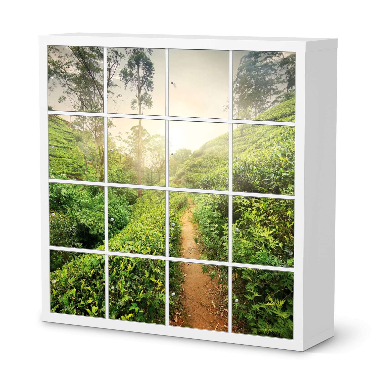 Selbstklebende Folie IKEA Expedit Regal 16 T?ren - Design: Green Tea Fields von creatisto