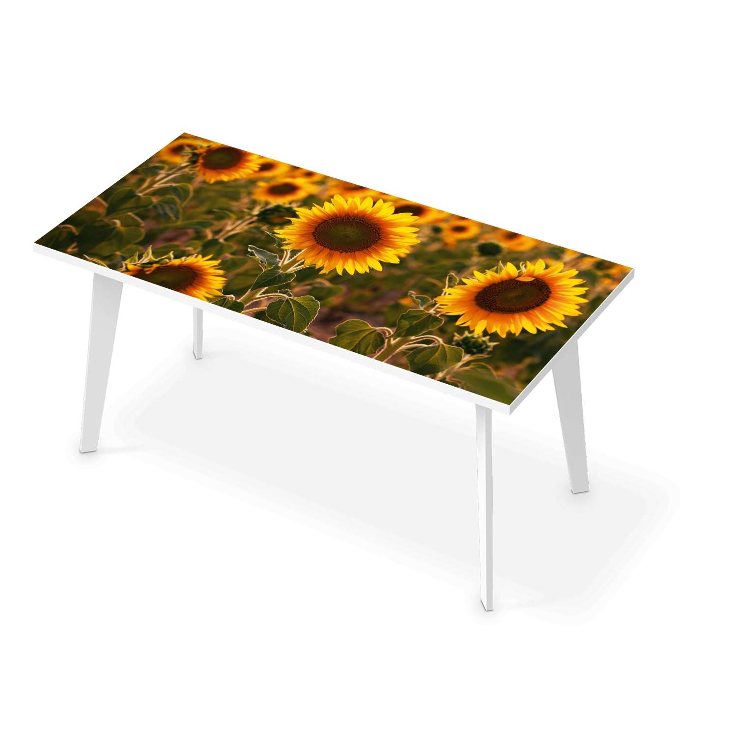 Tischfolie - Design: Sunflowers 160x80 cm von creatisto