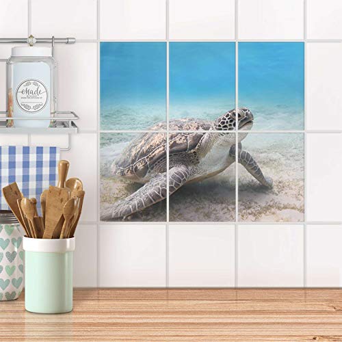 Fliesensticker für Bad und Küche I Fliesen Sticker Aufkleber wiederablösbar I Fliesen verschönern - Fliesenmuster für Bad- und Küchenfliesen I Design: Green Sea Turtle Fliesensticker für Bad und Küche I Fliesen Sticker Aufkleber wiederablösbar I Fliesen verschönern - Fliesenmuster für Bad- und Küchenfliesen I Design: Green Sea Turtle von creatisto