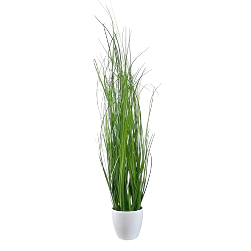 Gasper Kunstpflanze Grasbusch im weißen Kunststofftopf, Farbe: Grün, in der Höhe: 50 cm, 104093-40 von creativ home