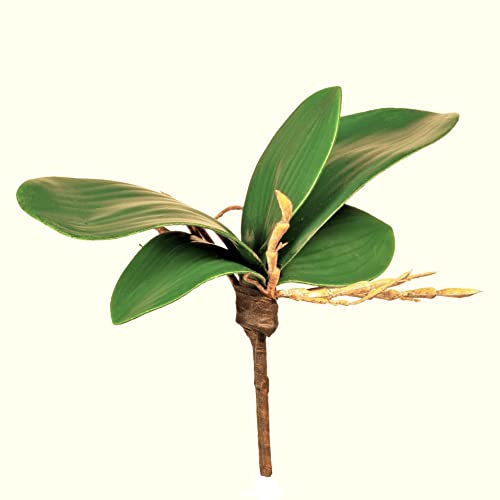 Künstliches ORCHIDEENLAUB 15 - 18 cm. Mit 5 Orchideenblätter und Luftwurzeln. von creativ home