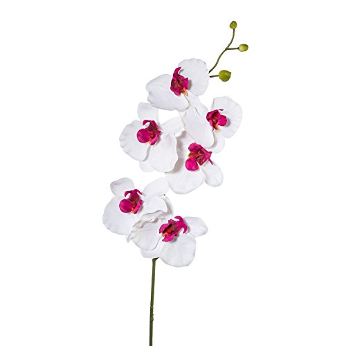 Kunstblume PHALENOPSIS, ORCHIDEENZWEIG 76 cm. Farbe WEISS-LILA 1017101-42 von creativ home