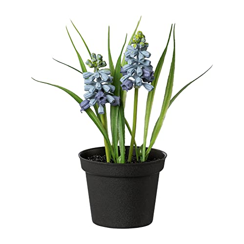 Blau | Kunstpflanzen und weitere Zimmer- & Kunstpflanzen. Günstig online  kaufen bei Möbel &