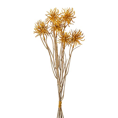 Kunstpflanze URCHINZWEIG 43 cm. Distelzweig. Ein Bund mit 6 Disteln in Trockenblumenoptik. HONIG von creativ home