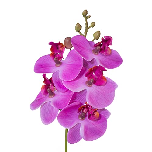 creativ home Künstliche Orchidee Orchideenzweig Kunstblume Phalaenopsis mit Stiel 27cm. Real Touch Oberfläche. (Lila) von creativ home