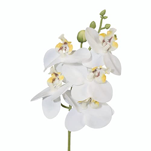 creativ home Künstliche Orchidee Orchideenzweig Kunstblume Phalaenopsis mit Stiel 27cm. Real Touch Oberfläche. (Weiß) von creativ home