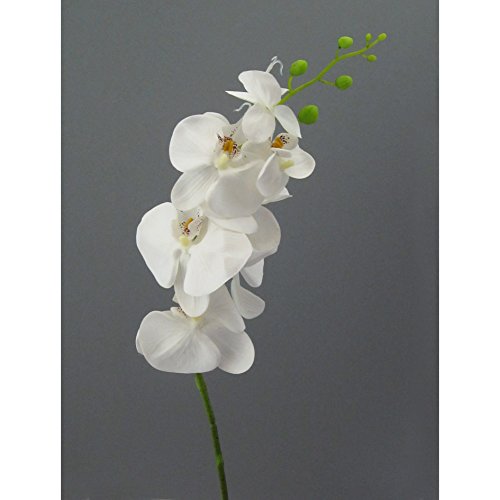 creativ home Kunstblume, PHALENOPSIS 86 cm. Orchidee, Orchideentrieb in WEISS-40 von creativ home