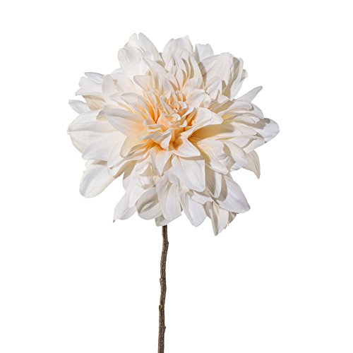creativ home Kunstblume DAHLIE, 57 cm. Dahlientrieb mit Einer Blüte in Creme. 2017803-48 von creativ home