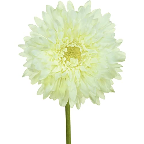 creativ home Kunstblume Gerbera 57cm Weiss, Kunstpflanze, Künstliche Blume, Dekoration, Frühling, Sommer creativ home Kunstblume Gerbera 57cm Weiss, Kunstpflanze, Künstliche Blume, Dekoration, Frühling, Sommer von creativ home