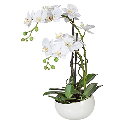 creativ home Kunstblume PHALENOPSIS ca 55 cm weiß, Weiss. Orchidee in runder KERAMIKSCHALE von creativ home