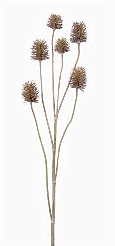 creativ home Kunstpflanze KARDENDISTELZWEIG, Distel, Silberdistel 77 cm. Lavendel, weiß eingefärbt. 2017807-82 von creativ home
