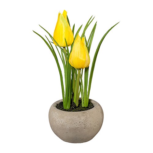 creativ home Kunstpflanze TULPE im Zementtopf. Ca 15 cm. Tulpen getopft. GELB. von creativ home