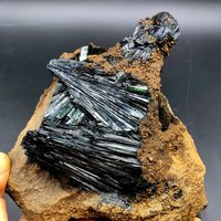 Crystal Natürliche Komplette Vivianit Mineral Specimen # A1620 von crystal2018625