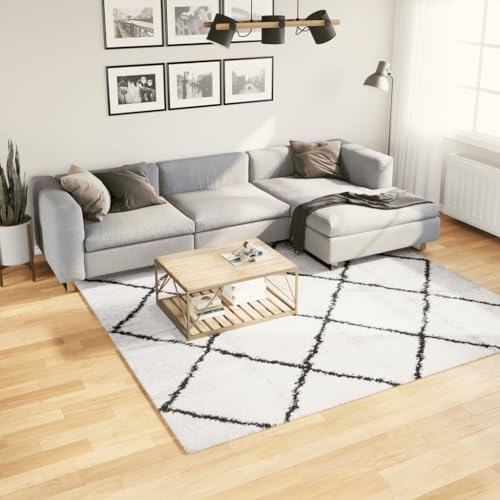 csderty Furniture Home Tools Shaggy Teppich PAMPLONA Hochflor Modern Creme und Schwarz 240 x 240 cm von csderty