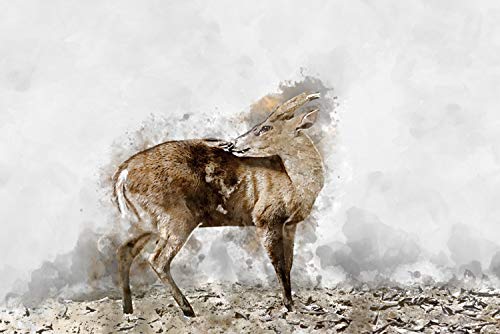 cuadros-lifestyle Küchen Spritzschutz „Rehkitz“ | Küchenrückwand | Alu-DiBond | Fliesenschutz für den Herd und Spüle | Küche | Küchenfliesen | Fliesenspiegel | Rückwand, Größe:60 x 40 x 0.3 cm cuadros-lifestyle Küchen Spritzschutz „Rehkitz“ | Küchenrückwand | Alu-DiBond | Fliesenschutz für den Herd und Spüle | Küche | Küchenfliesen | Fliesenspiegel | Rückwand, Größe:60 x 40 x 0.3 cm von Cuadros Lifestyle