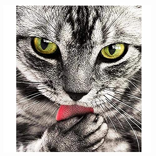 Cukol Kreuzstich Stickpackungen Vorgedruckt Set Erwachsene, Stickvorlagen Stickbilder Vorgedruckt Kreuzstich Stickpackung Sticken Starter Set für Erwachsene Kinder Anfänger, Stickset Cross Stitch Kit Cukol Kreuzstich Stickpackungen Vorgedruckt Set Erwachsene, Stickvorlagen Stickbilder Vorgedruckt Kreuzstich Stickpackung Sticken Starter Set für Erwachsene Kinder Anfänger, Stickset Cross Stitch Kit von cukol cukol