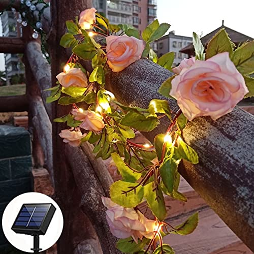 cuzile Solar Garten Pfahl Lichter im Freien, Upgraded LED Solar Powered Lichter, Solar Dekorative Lichter AP8 Modi Blinken Beleuchtung Solar Rose Lichter für Patio Pathway Hof Garten Rasen von cuzile