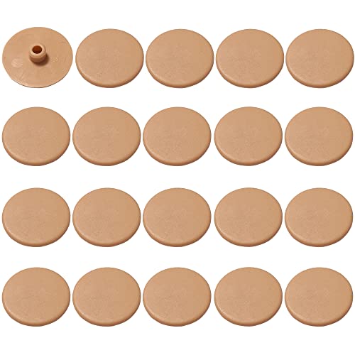 cyclingcolors 20x Abdeckkappen braun Kiefer schraubenkappen Innensechskant Zylinderschrauben Schutzkappen CHC FHC SW4 cyclingcolors 20x Abdeckkappen braun Kiefer schraubenkappen Innensechskant Zylinderschrauben Schutzkappen CHC FHC SW4 von cyclingcolors