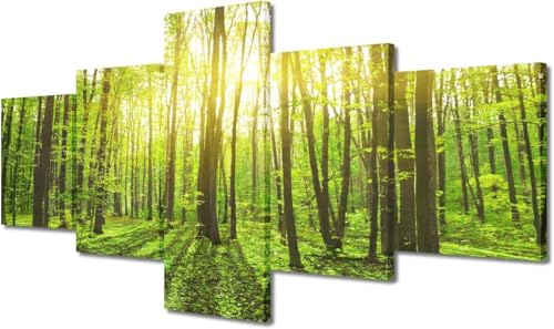 cyongshan Leinwand Kunst Wandmalerei Kunst3D-Druck Malerei Bild Dekorative Kunst5Stück Moderne Mikro-SprayDer schöne Wald am MorgenPoster Foto Wohnzimmer Schlafzimmer Dekoration40 x22 Rahmen von cyongshan