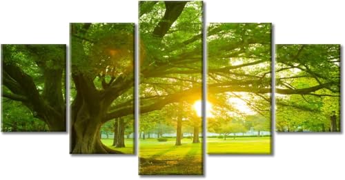 cyongshan Leinwand Kunst Wandmalerei Kunst3D-Druck Malerei Bild Dekorative Kunst5Stück Moderne Mikro-SpraySonnenlicht im grünen WaldPoster Foto Wohnzimmer Schlafzimmer Dekoration60 x40 Rahmen von cyongshan