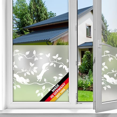 d-c-fix Fensterfolie Pineview Blätter Tier-Motiv statisch selbsthaftend Premium 45 cm x 1,5 m - blickdicht Sichtschutzfolie UV-Schutz - Sichtschutz Fenster Folie Milchglasfolie Pflanzen Eichhörnchen d-c-fix Fensterfolie Pineview Blätter Tier-Motiv statisch selbsthaftend Premium 45 cm x 1,5 m - blickdicht Sichtschutzfolie UV-Schutz - Sichtschutz Fenster Folie Milchglasfolie Pflanzen Eichhörnchen von d-c-fix