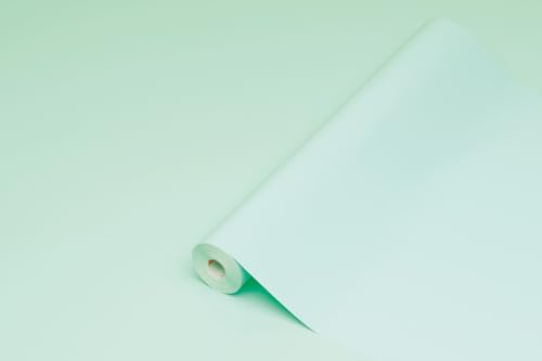 d-c-fix Möbel-Klebefolie Mint Hochglanz 45 cm x 2 m - Möbelfolie selbstklebende Küchenfolie Folierung Küchen-Schrank Deko-Folie Tisch-Folie Fensterbank Küchenfronten glänzend Mint-Grün Türkis von d-c-fix