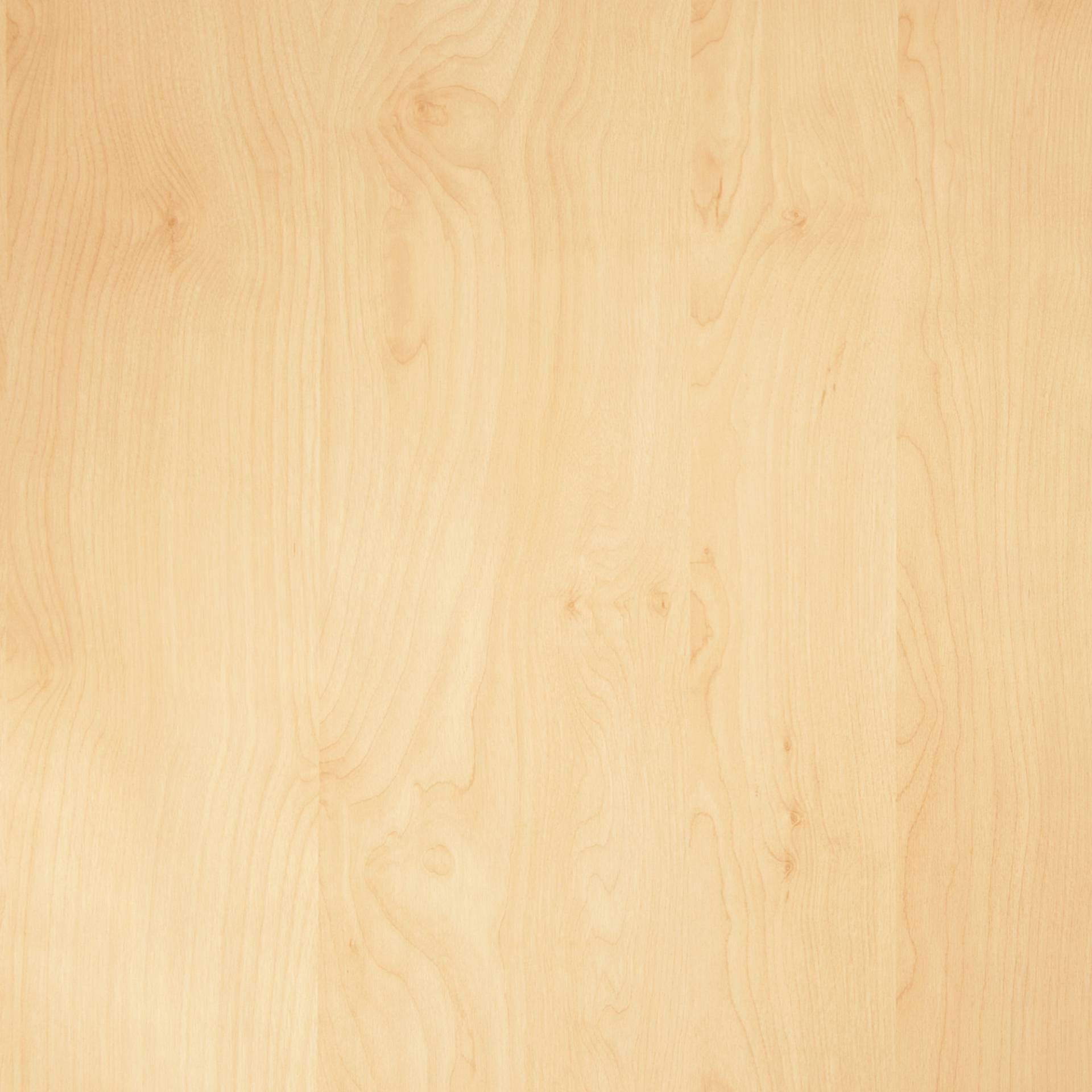 d-c-fix D-c-fix Klebefolie „Birke“ 200 x 67,5 cm d-c-fix D-c-fix Klebefolie „Birke“ 200 x 67,5 cm von d-c-fix