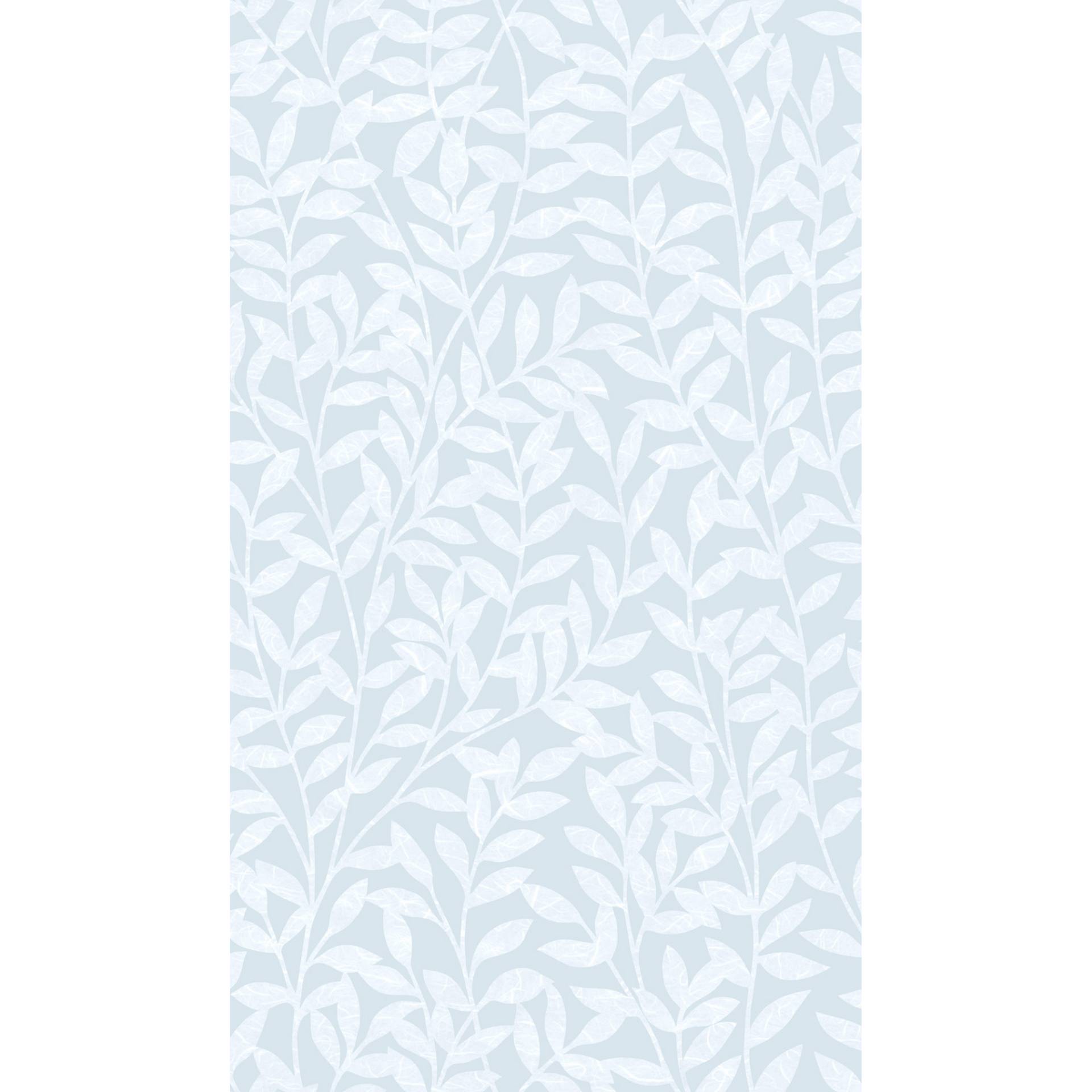 d-c-fix Fensterfolie 'static Premium Jane' 67,5 x 150 cm d-c-fix Fensterfolie 'static Premium Jane' 67,5 x 150 cm von d-c-fix