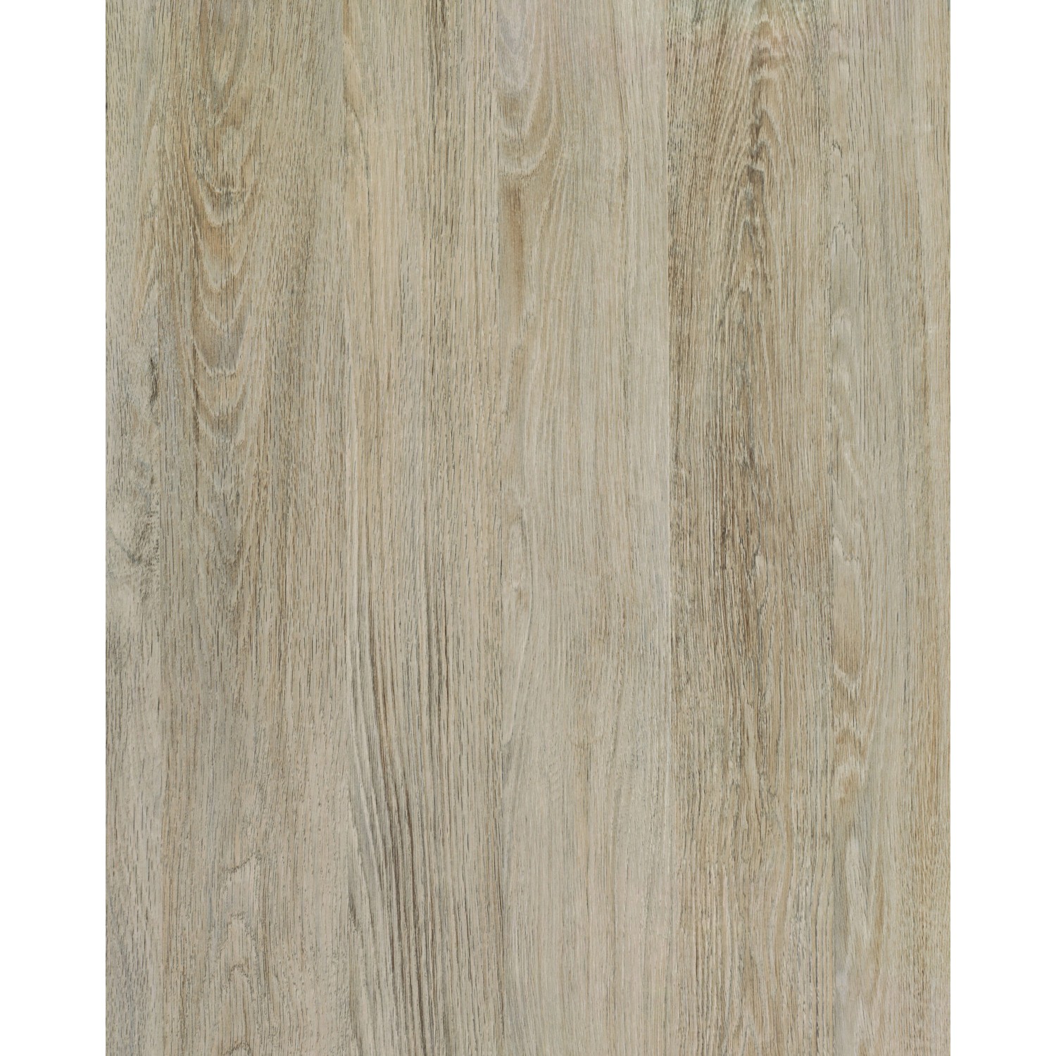 d-c-fix Klebefolie Santana Oak Kalk 200 cm x 45 cm von d-c-fix