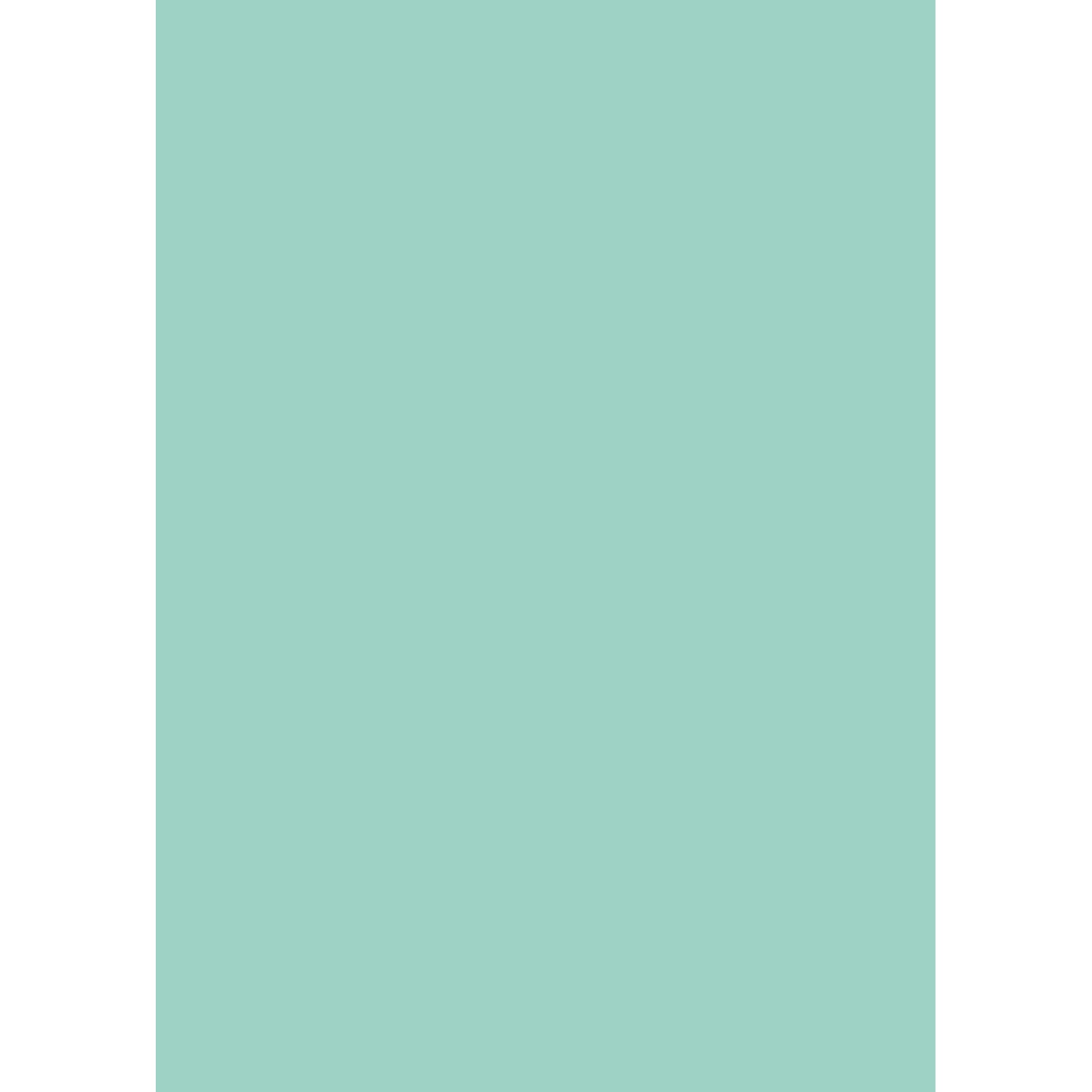 d-c-fix Selbstklebefolie Uni Lack mint 45cm x 2m d-c-fix Selbstklebefolie Uni Lack mint 45cm x 2m von d-c-fix