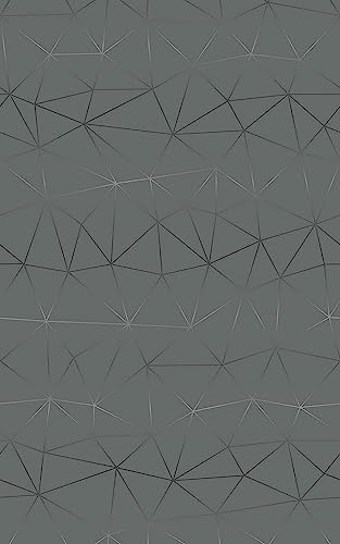 d-c-fix Möbel-Klebefolie Tico Silver grau Muster 45 cm x 2 m - Möbelfolie selbstklebende Deko-Folie Schrank folieren Dekorfolie geometrisch Art Deco modern von d-c-fix