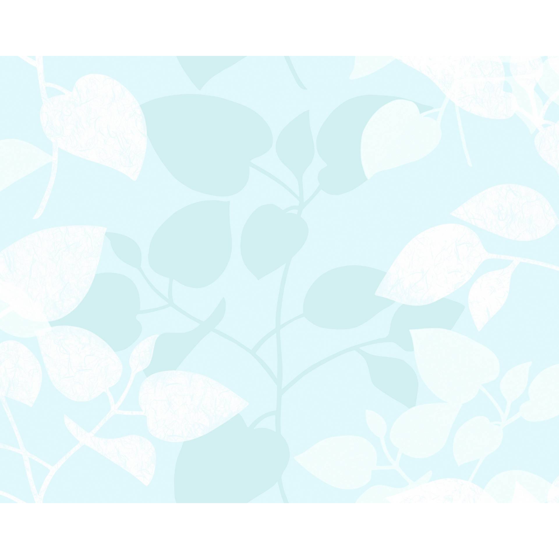 d-c-fix Sichtschutzfolie 'Static Premium' amena-transparent 45 x 150 cm d-c-fix Sichtschutzfolie 'Static Premium' amena-transparent 45 x 150 cm von d-c-fix