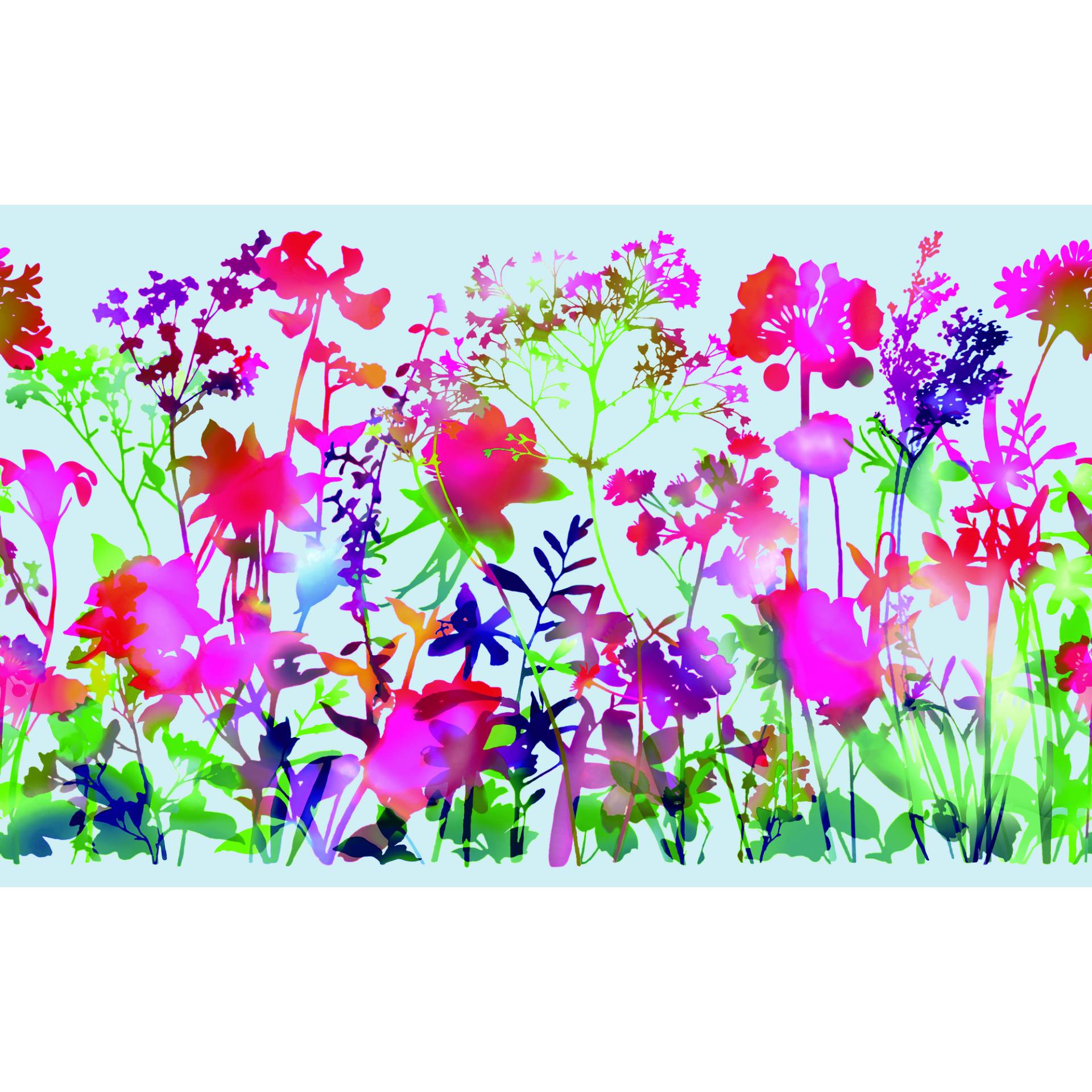 d-c-fix Sichtschutzfolie 'Static Premium' mira-mehrfarbig 45 x 150 cm d-c-fix Sichtschutzfolie 'Static Premium' mira-mehrfarbig 45 x 150 cm von d-c-fix