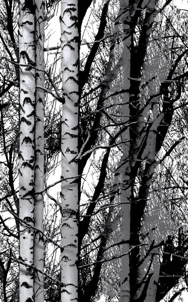d-c-fix Wandfolie d-c-fix Selbstklebefolie Trendyline Wood 45 cm x, Natur von d-c-fix