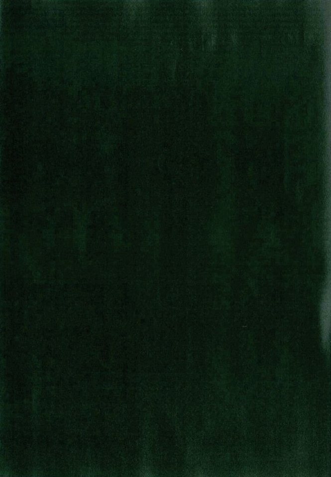 d-c-fix Wandfolie d-c-fix Tafelfolie grün 90 cm x 1,5 m, Einfarbig von d-c-fix
