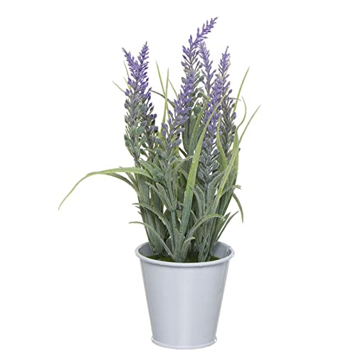 Lavendel-Blumentopf von Dcasa