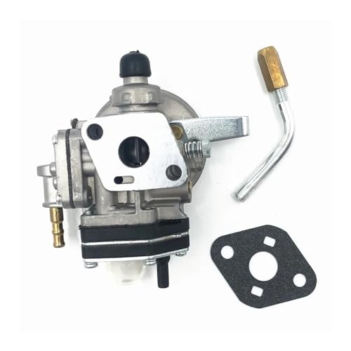 Vergaser Mit Dichtung for C350 C270 PZ110 A021002470 70170-81020 T270 PB270 Vergaser Mit Dichtung for C350 C270 PZ110 A021002470 70170-81020 T270 PB270 von dEieHKw