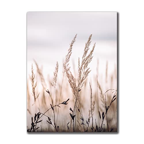 Leinwandbild Grasses I 30 x 40 cm | Bild auf Leinwand im Hochformat in sanften monochromen Farben | Gras Feld Wiese Natur Blumen Trockenblumen | Wohnzimmer Schlafzimmer Flur | Deko Home Einrichtung von daazoo