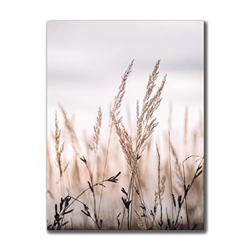 Leinwandbild Grasses I 60 x 80 cm | Bild auf Leinwand im Hochformat in sanften monochromen Farben | Gras Feld Wiese Natur Blumen Trockenblumen | Wohnzimmer Schlafzimmer Flur | Deko Home Einrichtung von daazoo