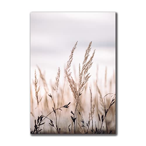 Leinwandbild Grasses I 70 x 100 cm | Bild auf Leinwand im Hochformat in sanften monochromen Farben | Gras Feld Wiese Natur Blumen Trockenblumen | Wohnzimmer Schlafzimmer Flur | Deko Home Einrichtung von daazoo