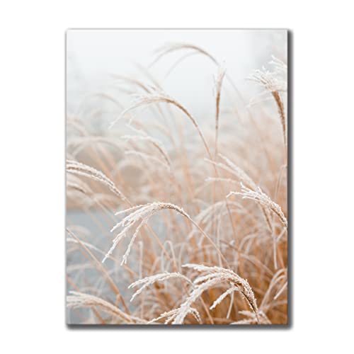 Leinwandbild Grasses II 30 x 40 cm | Bild auf Leinwand im Hochformat in sanften monochromen Farben | Gras Feld Wiese Natur Blumen Trockenblumen | Wohnzimmer Schlafzimmer Flur | Deko Home Einrichtung von daazoo