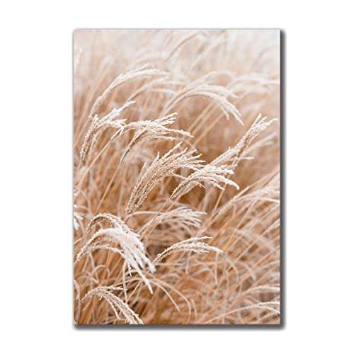 Leinwandbild Grasses III 70 x 100 cm | Bild auf Leinwand im Hochformat in sanften monochromen Farben | Gras Feld Wiese Natur Blumen Trockenblumen | Wohnzimmer Schlafzimmer Flur | Deko Home Einrichtung von daazoo