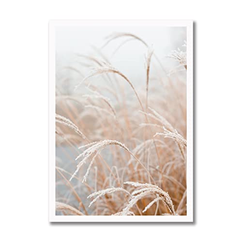 Rahmenbild Pampas I I Bild mit Rahmen weiß | Wandbild Hochformat | Pampas Gras Trockenblumen Blumen | Wohnzimmer Schlafzimmer Flur | Deko Einrichtung modern elegant stilvoll | Geschenk | 50 x 70 cm von daazoo