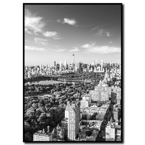 daazoo Bild New York Central Park mit Rahmen 50 x 70 cm (AUFHÄNGFERTIG) - Das grüne Herz New Yorks - Gerahmtes Wandbild - Bilder Set - schwarzweiß schwarzweiss schwarz weiss weiß von daazoo
