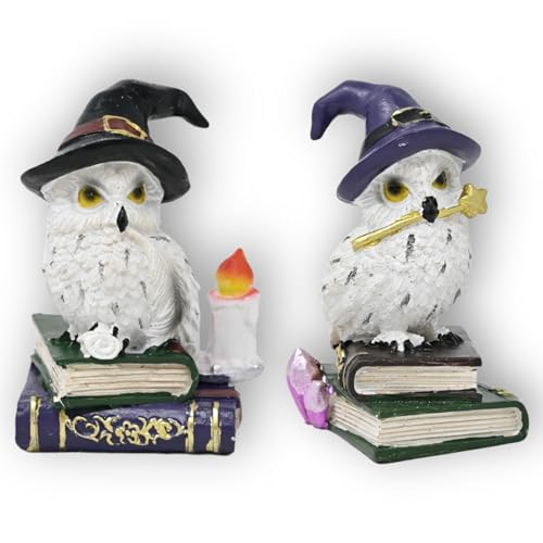 damaloo 2X Magische Eulenfiguren 8 cm – Schneeeule mit Zauberhut & Buch – Schnee Eule für Wohnzimmer, Schlafzimmer, Bücherregal – Eulen Deko Figur – Balkon Dekoration – Fantasy Eule Deko damaloo 2X Magische Eulenfiguren 8 cm – Schneeeule mit Zauberhut & Buch – Schnee Eule für Wohnzimmer, Schlafzimmer, Bücherregal – Eulen Deko Figur – Balkon Dekoration – Fantasy Eule Deko von damaloo